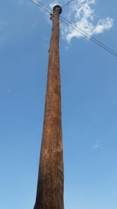 electric pole2